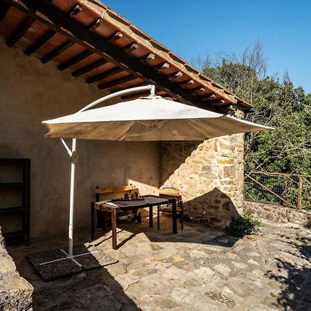 Agriturismo Santa Caterina Castelnuovo di Val di Cecina Dış mekan fotoğraf