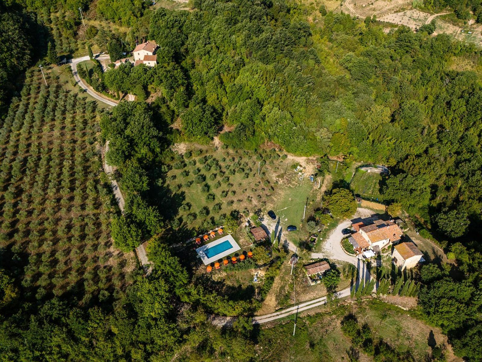Agriturismo Santa Caterina Castelnuovo di Val di Cecina Dış mekan fotoğraf