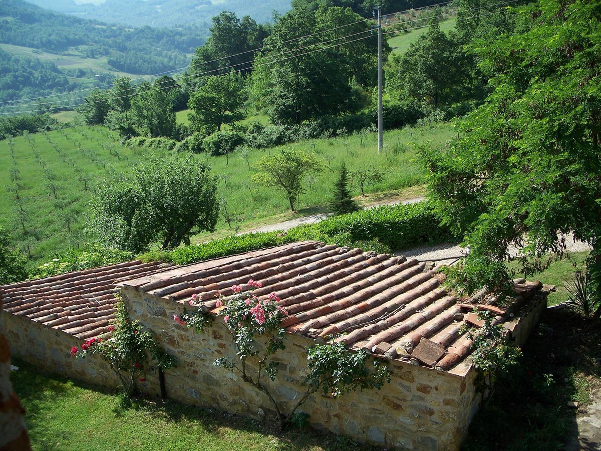 Agriturismo Santa Caterina Castelnuovo di Val di Cecina Dış mekan fotoğraf