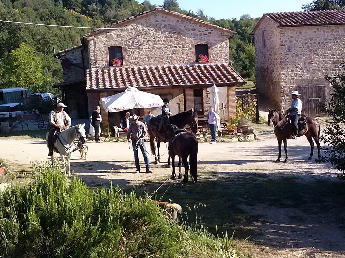 Agriturismo Santa Caterina Castelnuovo di Val di Cecina Dış mekan fotoğraf