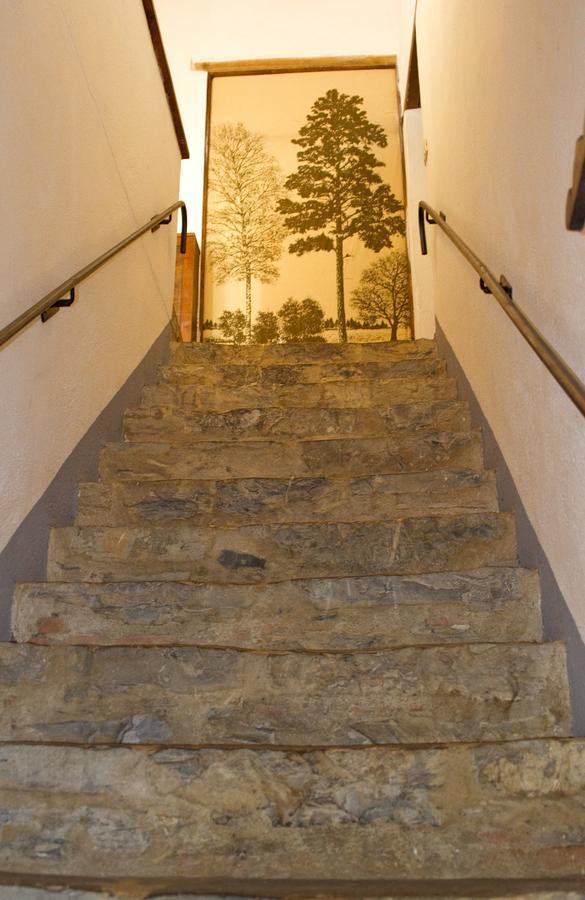 Agriturismo Santa Caterina Castelnuovo di Val di Cecina Oda fotoğraf